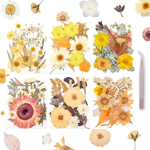 Dried Pressed Flowers Real Pressed Flowers Natural Dry Leaves Bulk Mixed Colorful Herbs Kit with Tweezers for Scrapbooking DIY Candle Jewelry Crafts Making Nails (Vintage Colors) - color: Vintage Colors