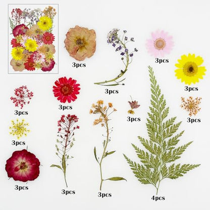 Cayway 40 PCS Dried Pressed Flowers for Resin, Real Pressed Flowers Dry Leaves Kit Natural Dried Pressed Leaves for Art Crafts Resin Scrapbook Supplies Soap Candle DIY, Pink and Red Rose - color: Red-pink-40