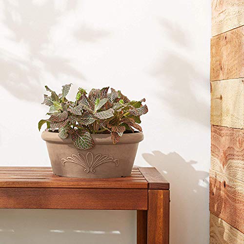 Arcadia Garden Products PSW TA30TP Plastic/Stone/Wood Composite Bulb Pan – No Drainage Hole (Drillable), Planter Bowl for Succulents, Bonsai, Fairy Gardens, Herbs,12" x 5", Taupe (Pack of 12) - color: Taupe, size: 12"x5" (Pack of 12)