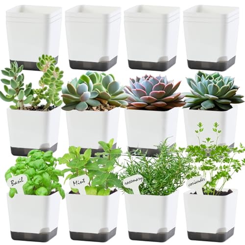 Oliz 3" Small Succulent Pots, 20pk Plastic Planters w/Drainage & Saucers | Comes with 30 plant labels as a gift, Nursery Pots, Seedling Pots, Decorative Flower Pots for Indoor Outdoor Plants - size: Mini White Pots 20 Pack