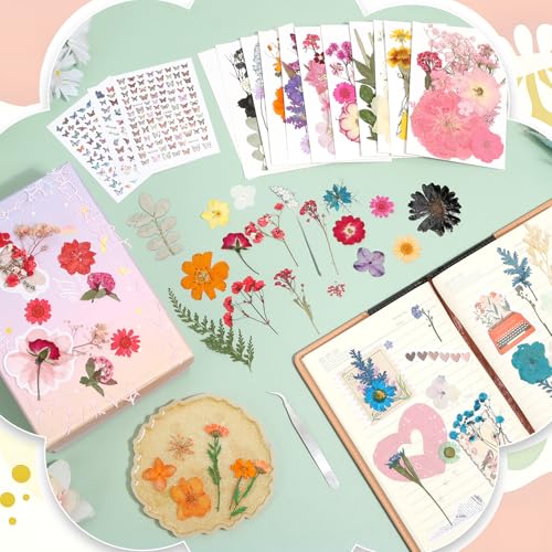 500 PCS Dried Flowers Butterfly Stickers for Crafts Real Natural Pressed Flowers Dry Leaves Kit for DIY Making Crafts Resin Soap Candle Scrapbook Supplies Card Making Jewelry - size: 500 Pcs Dried Flowers with Butterfky