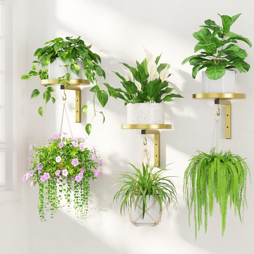 LASZOLA Plant Hanger Holder Window Shelf Wall Mounted Indoor, 3 Pcs Gold - color: Standard Gold, size: 3