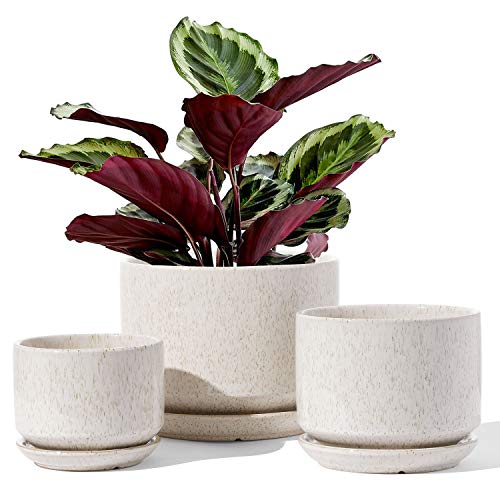 LE TAUCI Ceramic Plant Pots, 4.3+5.3+6.8 inch, Set of 3, Planters with Drainage Hole and Saucer, Indoor Flower Pot with Hole Mesh Pad, Gifts for Mom, Reactive Glaze Beige - color: Reactive Glaze Beige