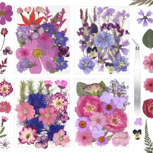 Dried Flowers for Resin Vacuum Packed DIY Pressed Flowers - size: 80 pcs Purple Dried Flowers