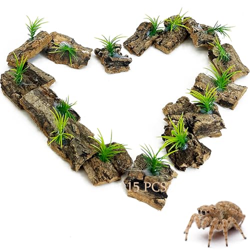 Jumping Spider Enclosure Accessories 15 Pcs Small Cork Bark for Tarantula Hide Spider Terrarium Decorations Reptiles Habitat Decor (Bark with Small Grasses)