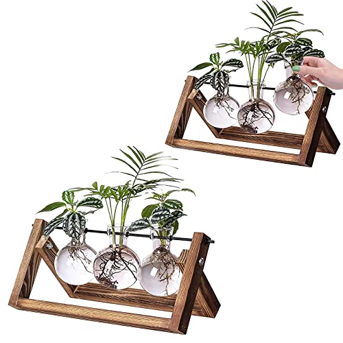 Kingbuy Glass Planter with Retro Wooden Stand 3 Bulb Vases with Side-Hole and 3 Bulb Vases Without Side-Hole Desktop Plant Propagation Stations Terrarium for Hydroponics Indoor Desk Decor