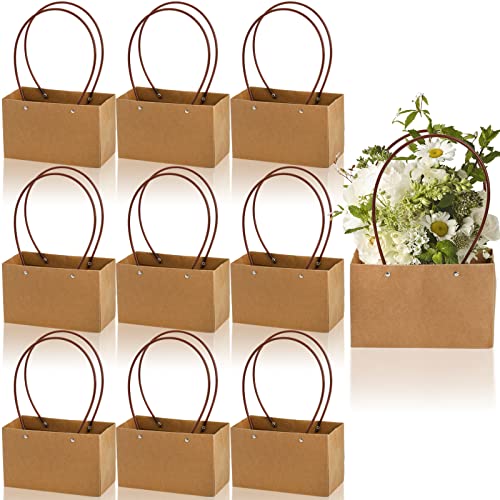 DEAYOU 10-Pack Kraft Paper Flower Gift Bags, Brown Bouquet Bag Box with Handle, Small Brown Paper Carrier Tote Bags with Waterproof Lining for Floral Arrangements, Party Favor, Ultra Thick