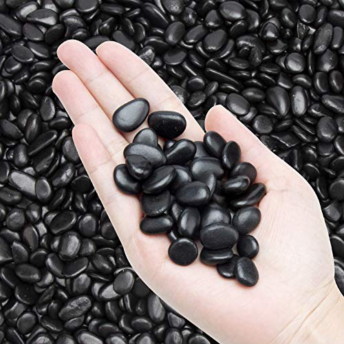 Black Small Pebbles - Decorative Gravel Rock Plant Stones,3/8" Natural Polished Stones Succulent Gravel,Pebbles Gravel for Bamboo Plants,Succulent,Home Decor,Landscaping,Vase Fillers. - color: Black, size: 1 LB