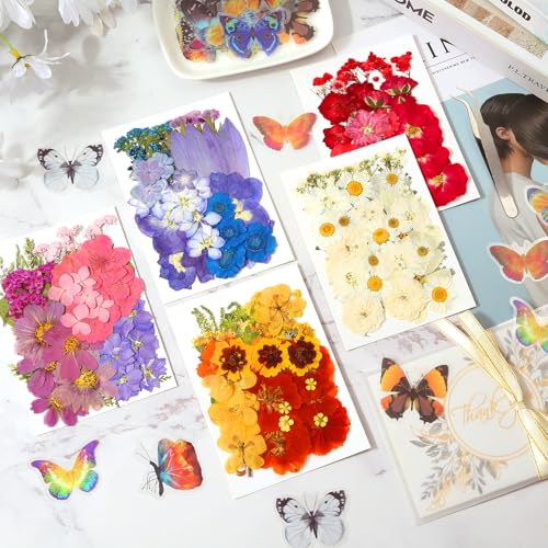 269 PCS Dried Pressed Flowers for Resin Crafts, Bulk Real Nature Pressed Flowers Set Dried Wildflowers Leaves with Butterfly Stickers Tweezers for Jewelry Making DIY Scrapbook Floral Frame Decors - size: 269 Pcs Dried Flowers with Butterfky