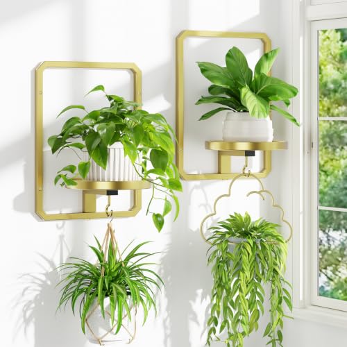 iDavosic.ly Wall Plant Picture Frame Holder Set of 2 for Indoor, Gold - color: Gold, 2-Pack, size: Rectangular