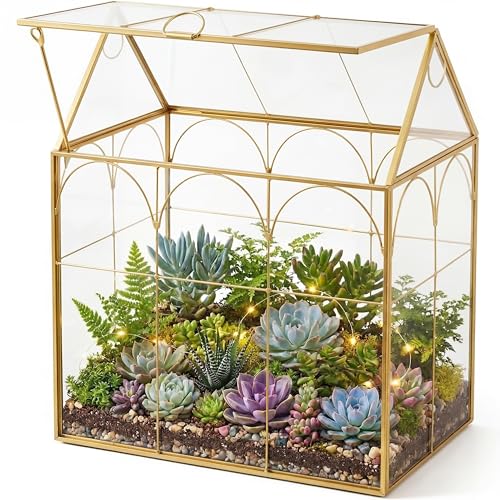 Fochier Geometric Glass Terrarium Planter, Handmade House-Shaped with Front Opening Door, Small Succulent & Cactus Display Box with Lid, Indoor Tabletop Micro Landscape Decor, No Plants, Gold