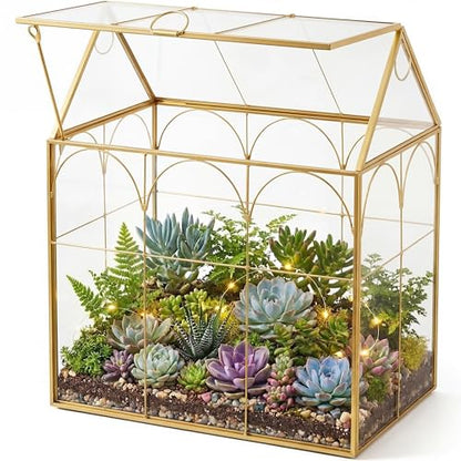 Fochier Geometric Glass Terrarium Planter, Handmade House-Shaped with Front Opening Door, Small Succulent & Cactus Display Box with Lid, Indoor Tabletop Micro Landscape Decor, No Plants, Gold