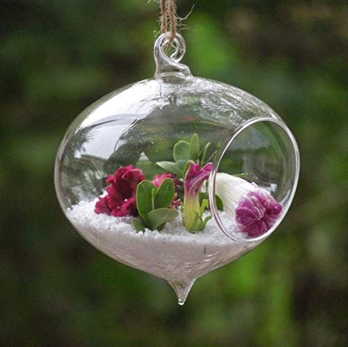 WGV Glass Hanging Plant Terrarium, Width 5", Height 5.5", Turnip DIY Succulent Air Planter Clear Tea Light Votive Candle Holder for Event Home Garden Outdoor Decor, 1 Piece - size: Turnip