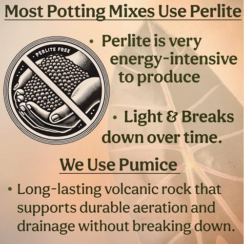 Craft Aroid Potting Mix- Elite Organic Alocasia, Philodendron, Monstera Soil Mix, Chunky, Well Draining Potting Soil for Indoor Plants, All Tropical Plants & Houseplants, Sustainable & Peat Free 4QT - size: 4 Quart