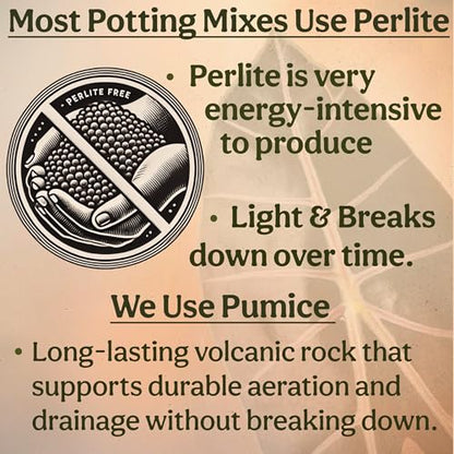 Craft Aroid Potting Mix- Elite Organic Alocasia, Philodendron, Monstera Soil Mix, Chunky, Well Draining Potting Soil for Indoor Plants, All Tropical Plants & Houseplants, Sustainable & Peat Free 4QT - size: 4 Quart