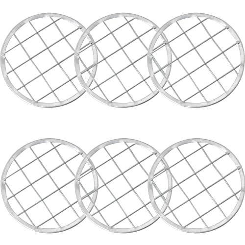 6pcs Jar Frog Lid Insert for fixing Flower Arrangement Plants Fixation Home Office Vase Decoration Accessories, Silver