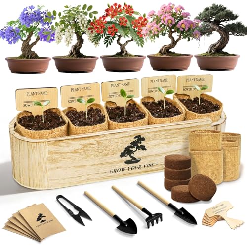 LUOJIBIE Bonsai Tree Kit for Beginners - Unique Gifts for Women, Crafts for Adults, for Women & Men,Complete Indoor Plant Kit,Easy House Plant