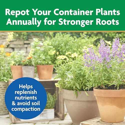 Miracle-Gro Moisture Control Potting Mix - Plant Soil For Container Plants, Protects against Over- and Under-Watering, 8 qt. (3-Pack) - size: 3-Pack, style: 8 qt.