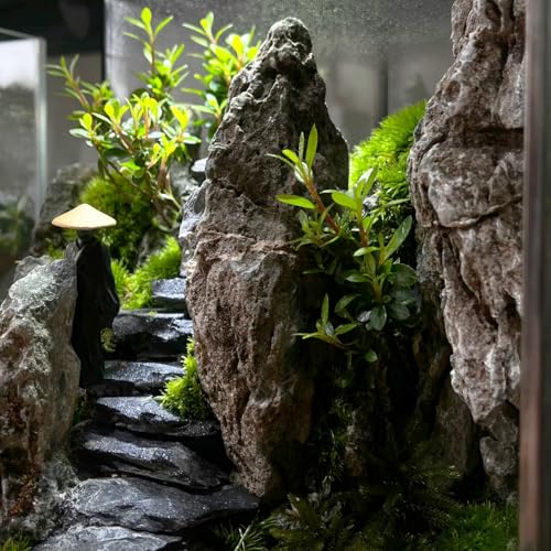 Natural Rocks Slate Stone 1-2.5 Inches Decorative Stones for Miniature Landscaping,Fairy Gardens,Bonsai,DIY Crafts,Aquariums & Reptile Terrariums-1lb - size: 1lb(1-2.5Inch)