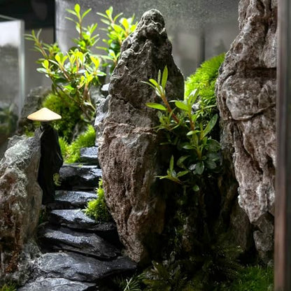 Natural Rocks Slate Stone 1-2.5 Inches Decorative Stones for Miniature Landscaping,Fairy Gardens,Bonsai,DIY Crafts,Aquariums & Reptile Terrariums-1lb - size: 1lb(1-2.5Inch)