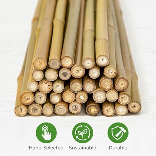 Plant Stakes Natural Bamboo Sticks - 35 Pcs Bamboo Garden Stakes for Plants 4 FT Plant Support Sticks with Twist Ties for Tomatoes Beans Flowers Indoor Outdoor Potted Climbing Plants - size: 4ft,35PCS