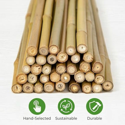 Plant Stakes Natural Bamboo Sticks - 35 Pcs Bamboo Garden Stakes for Plants 4 FT Plant Support Sticks with Twist Ties for Tomatoes Beans Flowers Indoor Outdoor Potted Climbing Plants - size: 4ft,35PCS