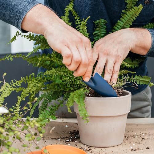 Doter Potting Soil Mix for Fern 4qt, Custom Hand Blended Mixture Suitable for Indoor/Outdoor Potted Fern Plant - size: 4qt