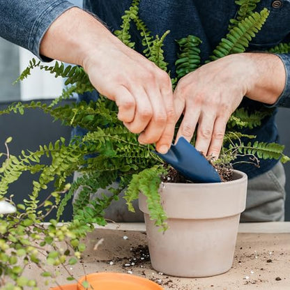 Doter Potting Soil Mix for Fern 4qt, Custom Hand Blended Mixture Suitable for Indoor/Outdoor Potted Fern Plant - size: 4qt