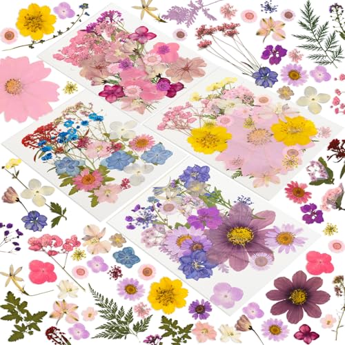 204 Pcs Dried Pressed Flowers for Resin Crafts, Real Natural Pressed Flowers and Leaves Kit Butterfly Stickers Vacuum Sealed Dry Flowers for DIY Epoxy Resin Jewelry Molds, Candle Soap Making, Nail Art - color: Purple Pink 204pcs