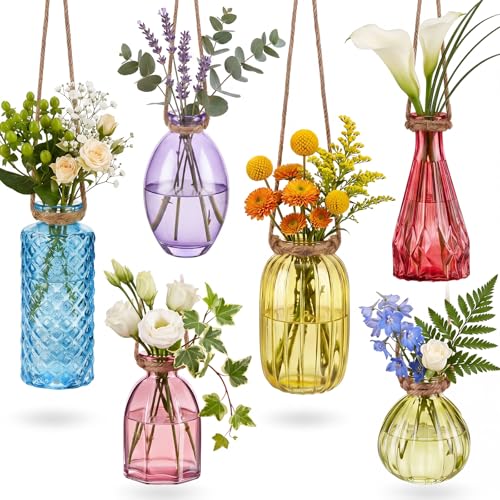 6 Pcs Stained Glass Hanging Vases Colorful Hanging Propagation Vases with Rope Hangings Glass Terrariums Planters Pot for Air Plants Flowers Garden Home Wedding Decor(Saturation Colorful Series) - color: Saturation Colorful Series