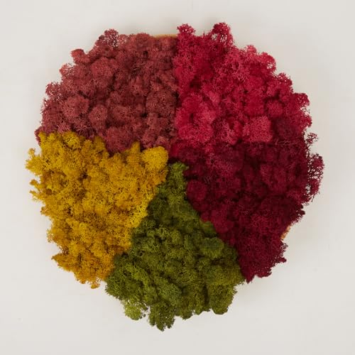 Preserved Reindeer Moss Natural Green DIY Kit Gardenning Art Wall Decor Florist Decor Easter Table Decor Wedding - color: Style-4, size: 1 lb