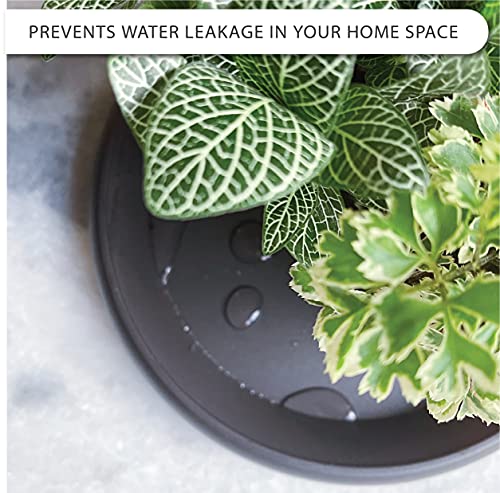 6-Pack Plastic Plant Saucer Drip Trays Multi-Size - Brownish Black