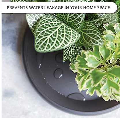 6-Pack Plastic Plant Saucer Drip Trays Multi-Size - Brownish Black