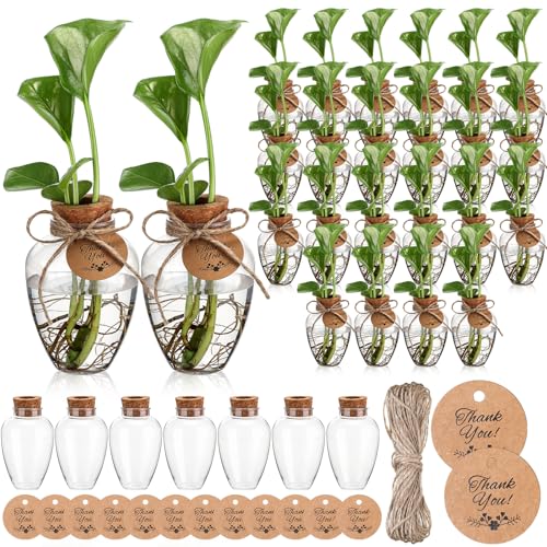 24 Pack Big 10oz Plastic Plant Propagation Stations with Hole Lid Planter Vase Clear Propagation Jars with Thank You Tags for Plant Lover Gifts for Women Office Home Garden