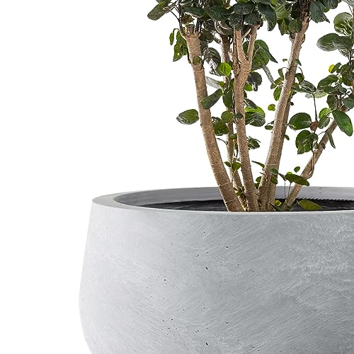 Kante Set of 3 Blue Gray Concrete Bowl Planters 19.6" 16" 11" Dia - color: Slate Gray, size: 19.6", 15.7" & 11.8" w
