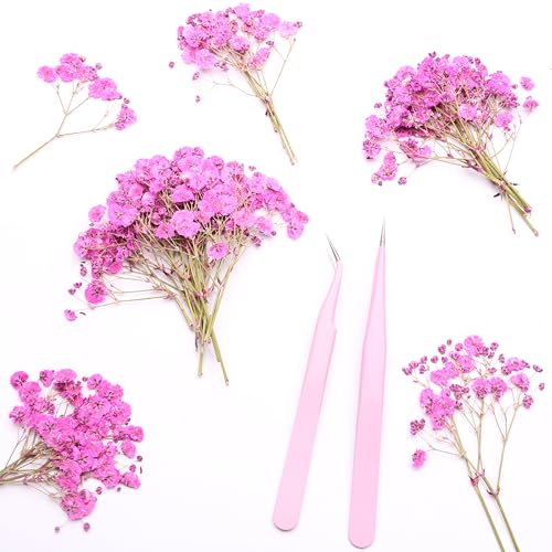 Fuchsia 70 Pcs Small Dried Babys Breath Flowers for Resin ,Real Dried Babys Breath Pressed Flower for Wedding Invitations Wax Seals ,Dry Flat Baby's Breath Flower with 2 Tweezers. - color: Fuchsia