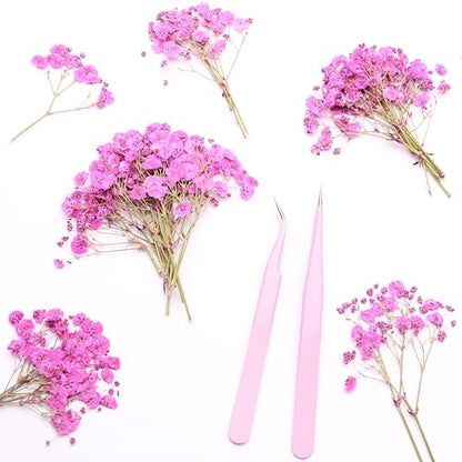 Fuchsia 70 Pcs Small Dried Babys Breath Flowers for Resin ,Real Dried Babys Breath Pressed Flower for Wedding Invitations Wax Seals ,Dry Flat Baby's Breath Flower with 2 Tweezers. - color: Fuchsia