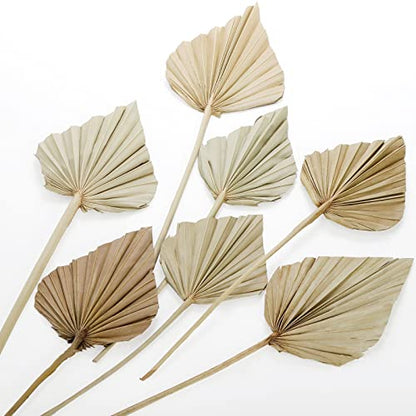 AVLA 12 Pack Boho Dried Palm Leaves, Dried Palm Fans with Stem, Natural Dry Palms Spears, Tropical Dry Leaf Decor for Vase, Bohemian Wedding Flowers Decoration for Party Office Home Wall Decor
