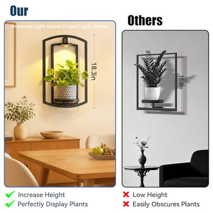 Wall Plant Holder with Remote Grow Lights, Framed Plants Holder for Indoor Plants Wall Decor, Living Room Plant Stand, Window Plant Shelves, 1 Pack