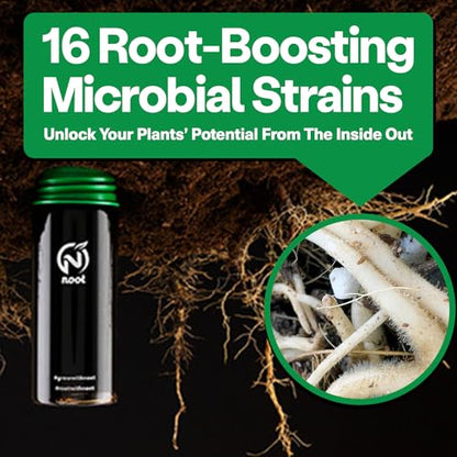 Noot 'Keep House Plants Alive' Bio-Organic Plant Food Liquid Fertilizer, Makes 3.5 Gallons, Root Boosting Mycorrhizae, Fast Growth for Monstera, Aroid, Succulent, Orchid - Use Every Watering (1 Vial) - size: Noot Plant Food (Makes 3.5 Gallons)