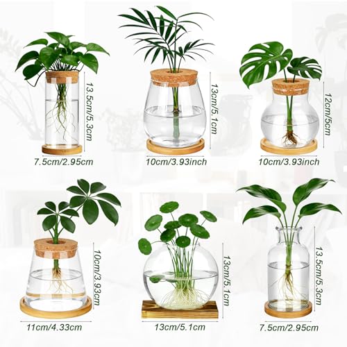 6 Pcs Plants Propagation Stations Glass Planter Terrariums with Wooden Lid and Bamboo Stand Desktop Propagation Vases Jars for Plant Growing Hydroponic Home Office Tabletop Garden Decoration