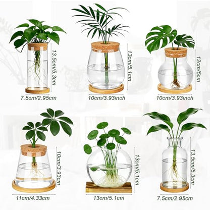 6 Pcs Plants Propagation Stations Glass Planter Terrariums with Wooden Lid and Bamboo Stand Desktop Propagation Vases Jars for Plant Growing Hydroponic Home Office Tabletop Garden Decoration