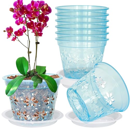 Orchid Pot, 8 Pack 6 inch Orchid Pots with Holes & Saucers, Clear Plastic Pot for Repotting, Breathable Ventilation Planters for Phalaenopsis, Dendrobium & Oncidium Orchids(Blue) - color: Blue, size: 6'' 8pack