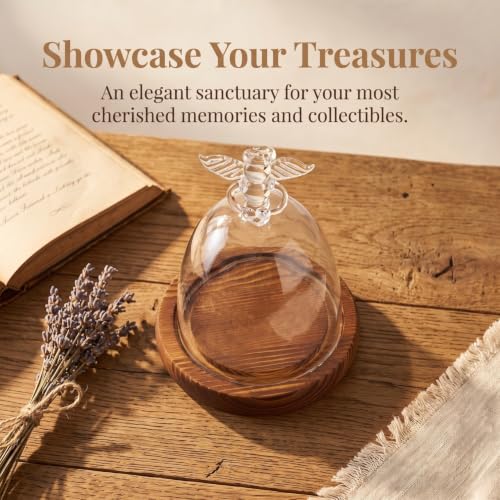 BESPORTBLE Angel Glass Cover Angel Preserved Flowers Flowers Wedding Decoration Glass Dome with Base Tabletop Display Case Cloche with Base Vase Wooden Dried s Snack