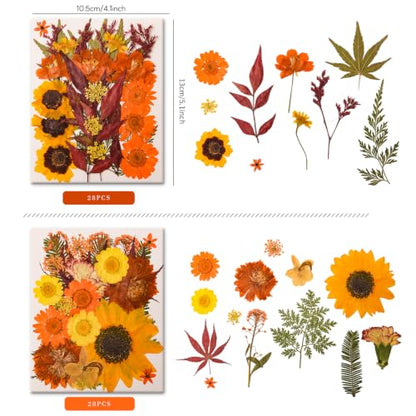 5 Packs 140 Pressed Dried Flowers & Leaves, Fall - color: Fall