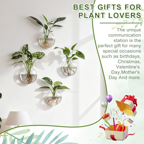 Wall Propagation Planters, 4 Pack Oblate Hanging Plant Holder Vase - size: 5.1"L x 2.4"W x 5"H