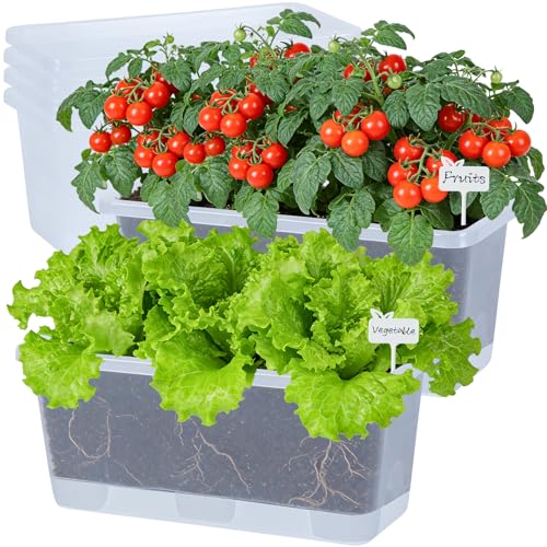 Oliz Window Box Planter 6 Packs, 13.8 Inches Rectangle Flower Pots with Drainage Holes & Trays, Pots for Vegetables, Herbs, Flowers, Garden Windowsill Balcony (Translucent White) - color: Translucent White