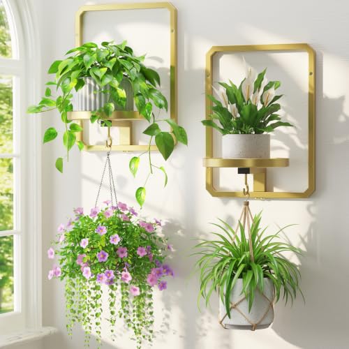 LASZOLA Plant Picture Frame Holder Wall Mount for Indoor Window, 2 Pack Modern Floating Flower Hanger Shelf with Hooks, Metal Stand Display Decor for Living Room, Gold - color: Gold, size: 2