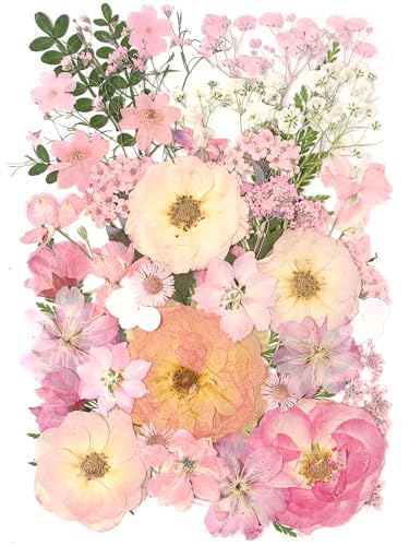 AHTONG 14 Types Pink Dried Pressed Flowers for Craft, Leaf Plant Herbarium for Resin Molds Jewelry Making Floral Decors (Peach Fuzz) - color: Peach Fuzz