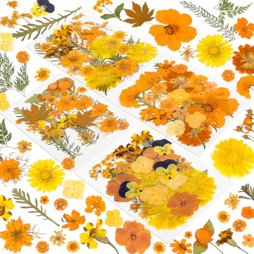 220 Pcs Dried Pressed Flowers for Resin Crafts, Real Natural Pressed Flowers and Leaves Kit Butterfly Stickers Vacuum Sealed Dry Flowers for DIY Epoxy Resin Jewelry Molds, Candle Soap Making, Nail Art - color: Autumn 220pcs